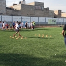  - profesionales del deporte,