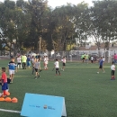  - profesionales del deporte,